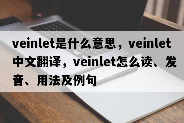 veinlet是什么意思，veinlet中文翻譯，veinlet怎么讀、發(fā)音、用法及例句