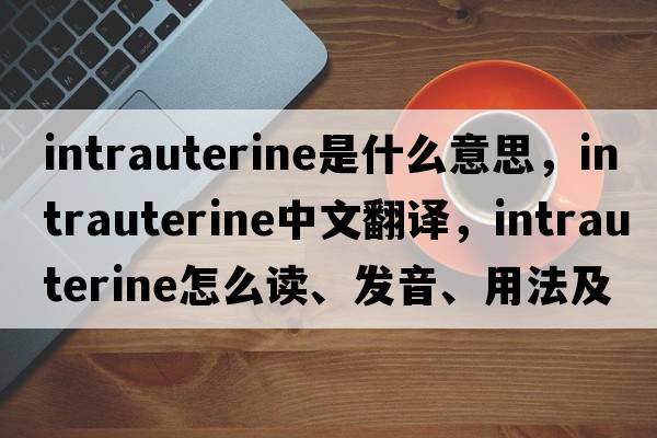 intrauterine是什么意思，intrauterine中文翻譯，intrauterine怎么讀、發(fā)音、用法及例句