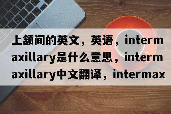 上頷間的英文，英語(yǔ)，intermaxillary是什么意思，intermaxillary中文翻譯，intermaxillary怎么讀、發(fā)音、用法及例句