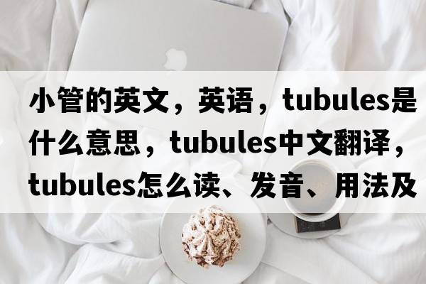 小管的英文，英語(yǔ)，Tubules是什么意思，Tubules中文翻譯，Tubules怎么讀、發(fā)音、用法及例句