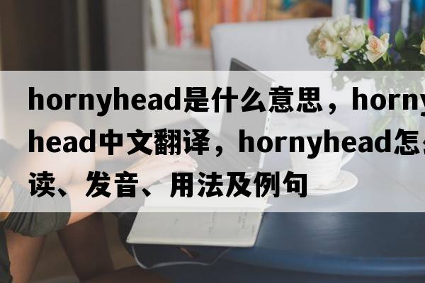 hornyhead是什么意思，hornyhead中文翻譯，hornyhead怎么讀、發(fā)音、用法及例句