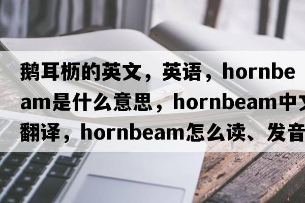 鵝耳櫪的英文，英語(yǔ)，hornbeam是什么意思，hornbeam中文翻譯，hornbeam怎么讀、發(fā)音、用法及例句