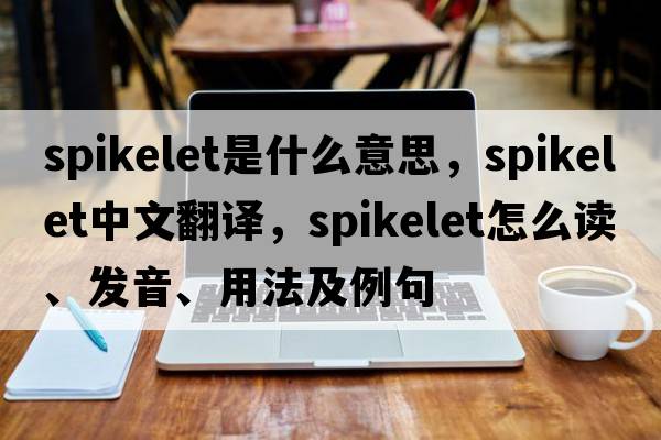 spikelet是什么意思，spikelet中文翻譯，spikelet怎么讀、發(fā)音、用法及例句