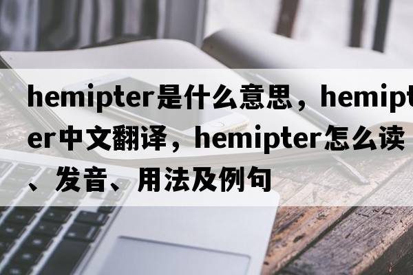 hemipter是什么意思，hemipter中文翻譯，hemipter怎么讀、發(fā)音、用法及例句