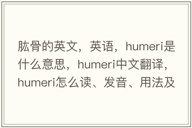肱骨的英文，英語(yǔ)，humeri是什么意思，humeri中文翻譯，humeri怎么讀、發(fā)音、用法及例句