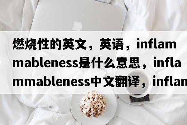 燃燒性的英文，英語(yǔ)，inflammableness是什么意思，inflammableness中文翻譯，inflammableness怎么讀、發(fā)音、用法及例句