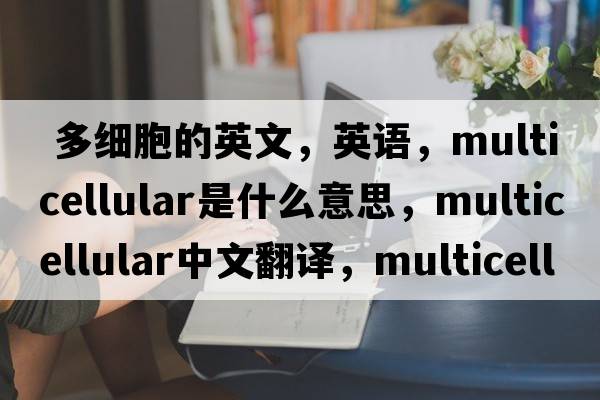  多細胞的英文，英語(yǔ)，multicellular是什么意思，multicellular中文翻譯，multicellular怎么讀、發(fā)音、用法及例句