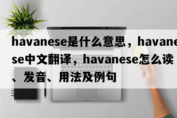 Havanese是什么意思，Havanese中文翻譯，Havanese怎么讀、發(fā)音、用法及例句