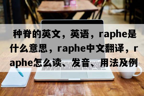  種脊的英文，英語(yǔ)，raphe是什么意思，raphe中文翻譯，raphe怎么讀、發(fā)音、用法及例句