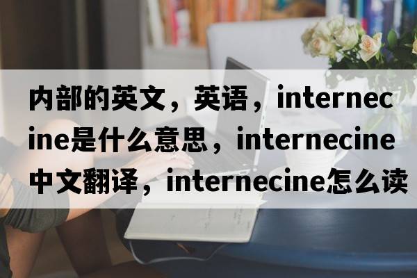 內部的英文，英語(yǔ)，internecine是什么意思，internecine中文翻譯，internecine怎么讀、發(fā)音、用法及例句