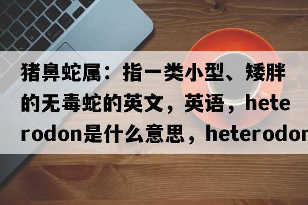 豬鼻蛇屬：指一類(lèi)小型、矮胖的無(wú)毒蛇的英文，英語(yǔ)，Heterodon是什么意思，Heterodon中文翻譯，Heterodon怎么讀、發(fā)音、用法及例句