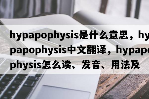 hypapophysis是什么意思，hypapophysis中文翻譯，hypapophysis怎么讀、發(fā)音、用法及例句