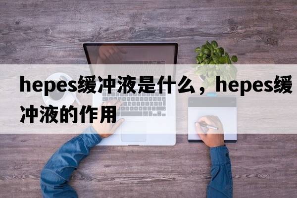 hepes緩沖液是什么，hepes緩沖液的作用