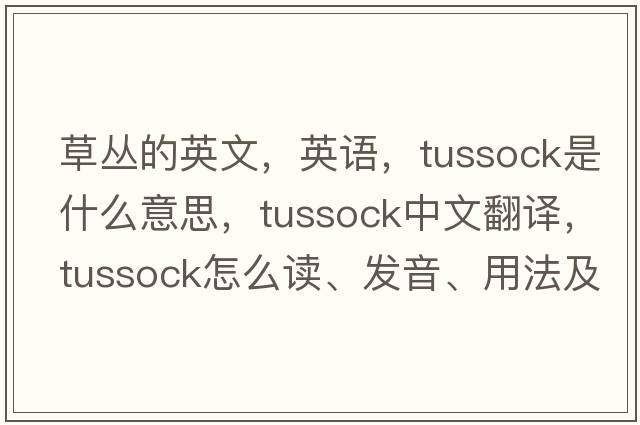 草叢的英文，英語(yǔ)，tussock是什么意思，tussock中文翻譯，tussock怎么讀、發(fā)音、用法及例句