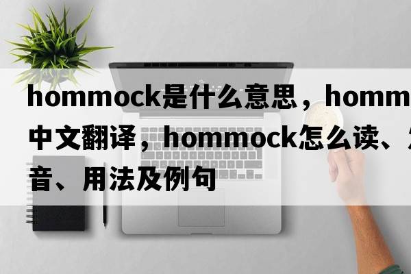 hommock是什么意思，hommock中文翻譯，hommock怎么讀、發(fā)音、用法及例句