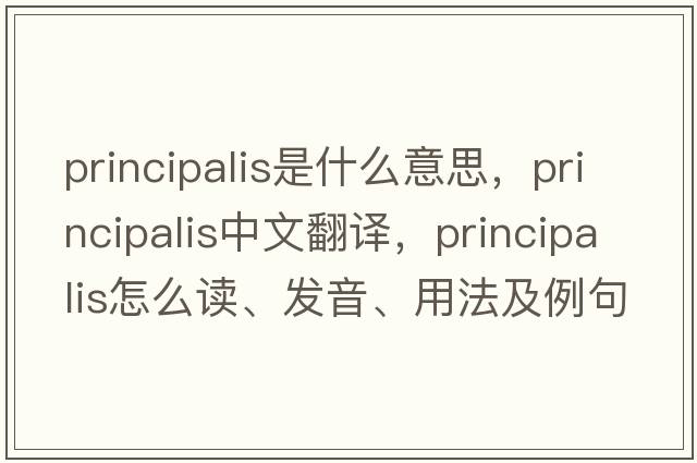 principalis是什么意思，principalis中文翻譯，principalis怎么讀、發(fā)音、用法及例句