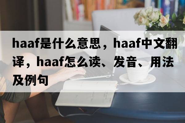 haaf是什么意思，haaf中文翻譯，haaf怎么讀、發(fā)音、用法及例句