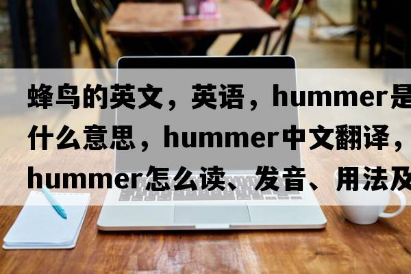 蜂鳥(niǎo)的英文，英語(yǔ)，hummer是什么意思，hummer中文翻譯，hummer怎么讀、發(fā)音、用法及例句