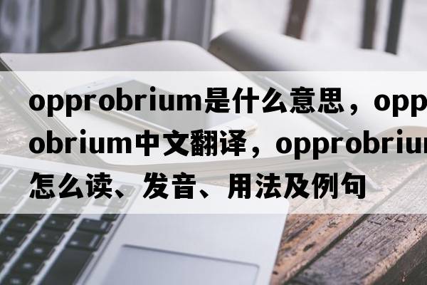 opprobrium是什么意思，opprobrium中文翻譯，opprobrium怎么讀、發(fā)音、用法及例句