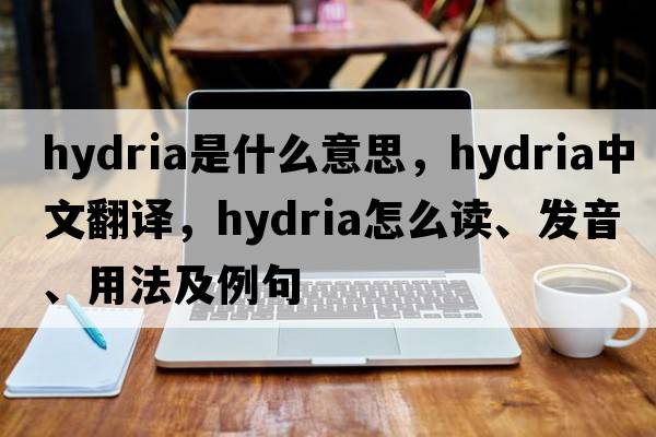 hydria是什么意思，hydria中文翻譯，hydria怎么讀、發(fā)音、用法及例句