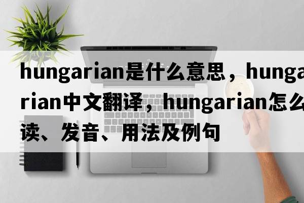 hungarian是什么意思，hungarian中文翻譯，hungarian怎么讀、發(fā)音、用法及例句