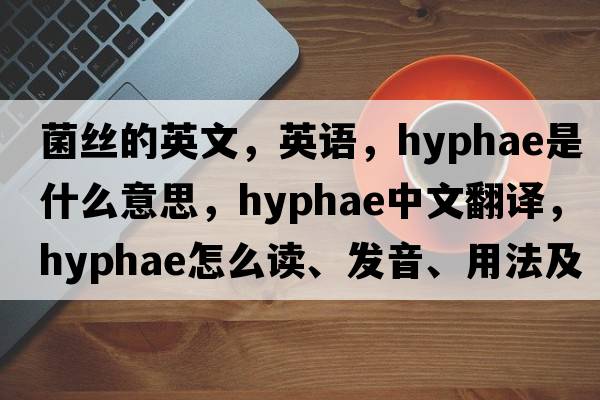 菌絲的英文，英語(yǔ)，hyphae是什么意思，hyphae中文翻譯，hyphae怎么讀、發(fā)音、用法及例句