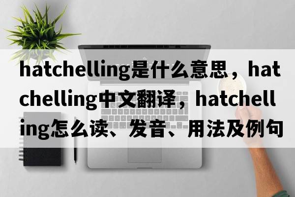 hatchelling是什么意思，hatchelling中文翻譯，hatchelling怎么讀、發(fā)音、用法及例句