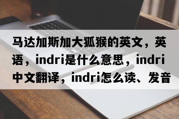 馬達加斯加大狐猴的英文，英語(yǔ)，indri是什么意思，indri中文翻譯，indri怎么讀、發(fā)音、用法及例句