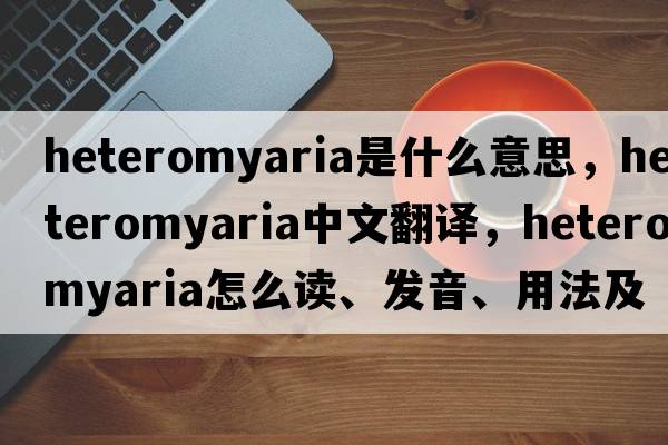 heteromyaria是什么意思，heteromyaria中文翻譯，heteromyaria怎么讀、發(fā)音、用法及例句
