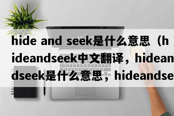 hide and seek是什么意思（hideandseek中文翻譯，hideandseek是什么意思，hideandseek發(fā)音、用法及例句）