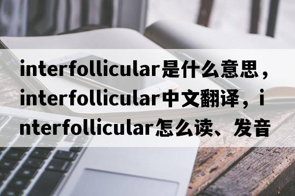 interfollicular是什么意思，interfollicular中文翻譯，interfollicular怎么讀、發(fā)音、用法及例句