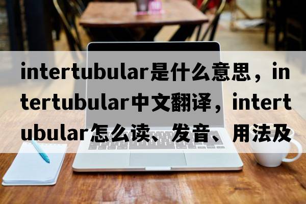 intertubular是什么意思，intertubular中文翻譯，intertubular怎么讀、發(fā)音、用法及例句
