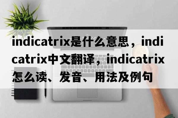 indicatrix是什么意思，indicatrix中文翻譯，indicatrix怎么讀、發(fā)音、用法及例句