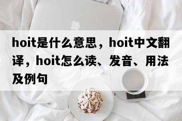 Hoit是什么意思，Hoit中文翻譯，Hoit怎么讀、發(fā)音、用法及例句