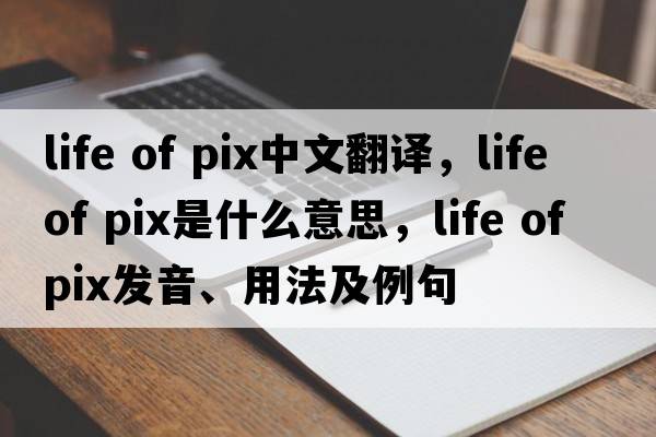 life of pix中文翻譯，life of pix是什么意思，life of pix發(fā)音、用法及例句