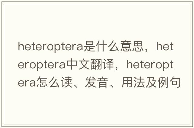 Heteroptera是什么意思，Heteroptera中文翻譯，Heteroptera怎么讀、發(fā)音、用法及例句