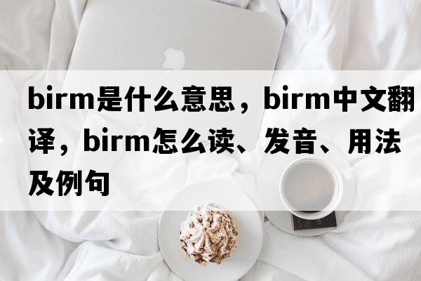 Birm是什么意思，Birm中文翻譯，Birm怎么讀、發(fā)音、用法及例句