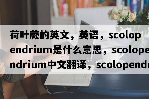 荷葉蕨的英文，英語(yǔ)，scolopendrium是什么意思，scolopendrium中文翻譯，scolopendrium怎么讀、發(fā)音、用法及例句