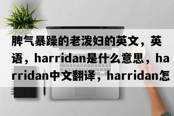 脾氣暴躁的老潑婦的英文，英語(yǔ)，harridan是什么意思，harridan中文翻譯，harridan怎么讀、發(fā)音、用法及例句