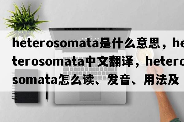Heterosomata是什么意思，Heterosomata中文翻譯，Heterosomata怎么讀、發(fā)音、用法及例句
