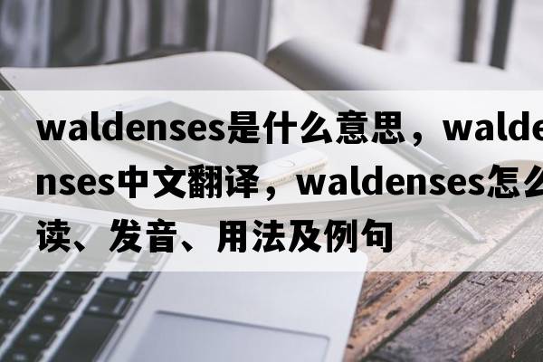 Waldenses是什么意思，Waldenses中文翻譯，Waldenses怎么讀、發(fā)音、用法及例句