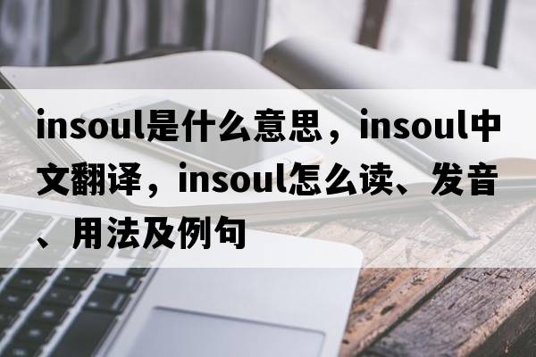 insoul是什么意思，insoul中文翻譯，insoul怎么讀、發(fā)音、用法及例句