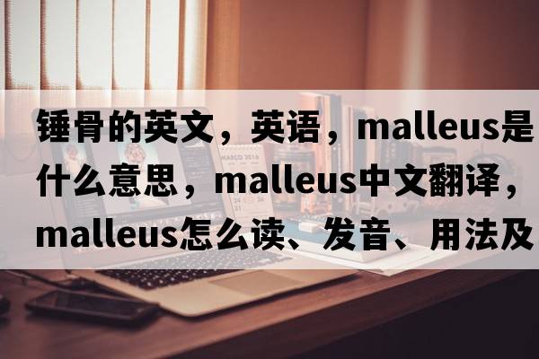 錘骨的英文，英語(yǔ)，malleus是什么意思，malleus中文翻譯，malleus怎么讀、發(fā)音、用法及例句