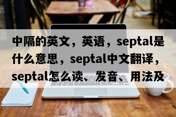 中隔的英文，英語(yǔ)，septal是什么意思，septal中文翻譯，septal怎么讀、發(fā)音、用法及例句