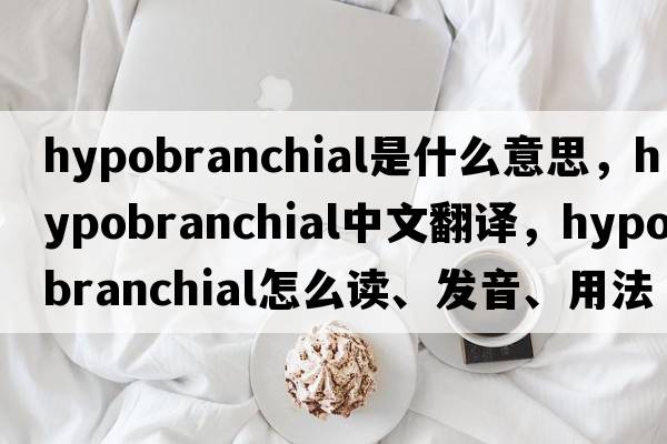 hypobranchial是什么意思，hypobranchial中文翻譯，hypobranchial怎么讀、發(fā)音、用法及例句