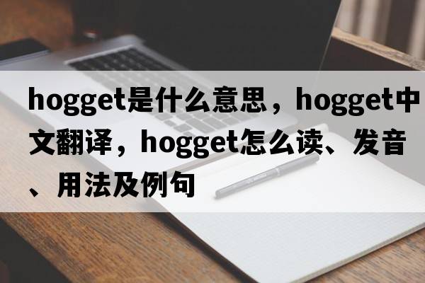 hogget是什么意思，hogget中文翻譯，hogget怎么讀、發(fā)音、用法及例句