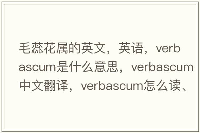 毛蕊花屬的英文，英語(yǔ)，Verbascum是什么意思，Verbascum中文翻譯，Verbascum怎么讀、發(fā)音、用法及例句