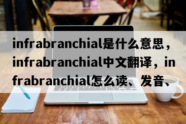 infrabranchial是什么意思，infrabranchial中文翻譯，infrabranchial怎么讀、發(fā)音、用法及例句