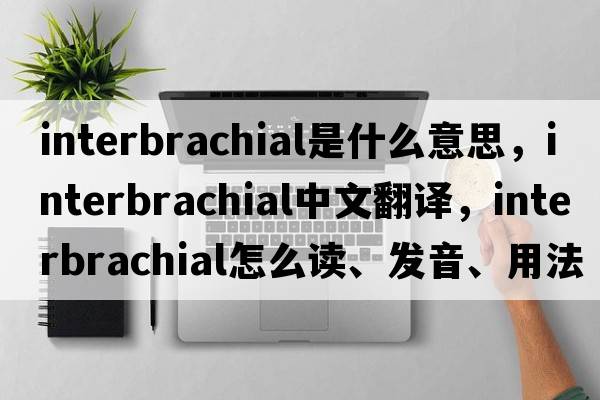 interbrachial是什么意思，interbrachial中文翻譯，interbrachial怎么讀、發(fā)音、用法及例句