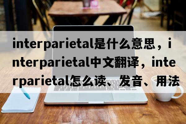 interparietal是什么意思，interparietal中文翻譯，interparietal怎么讀、發(fā)音、用法及例句